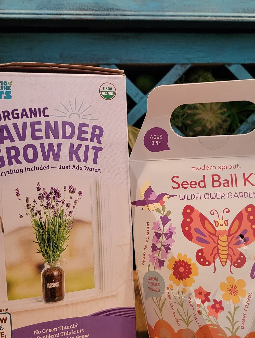 Organic Lavender Grow Kit + Seed Ball Wildflower Garden - Mason Jar Flowers